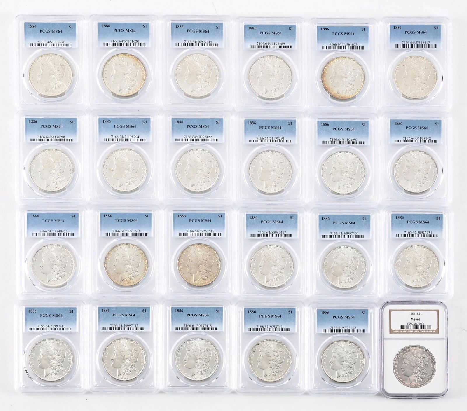 LOT OF 24: $1 1886 MS64 PCGS: LOT OF 24: $1 1886 MS64 PCGS
