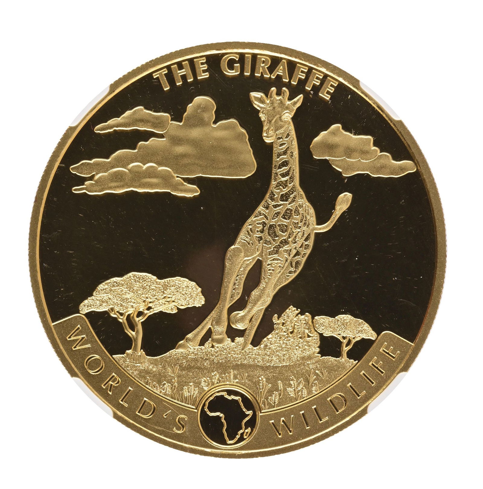 WORLD'S WILDLIFE 2019 CONGO D.R. G100F PF69 ULTRA CAMEO NGC: WORLD'S WILDLIFE 2019 CONGO D.R. G100F PF69 ULTRA CAMEO NGC