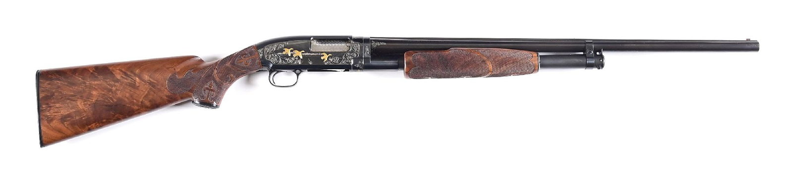 (C) UPGRADE PRE WAR ENGRAVED & GOLD WINCHESTER MODEL 12 SLIDE ACTION 16 GAUGE SHOTGUN.: Dates to 1936. This beautifully upgraded pre-war features the Winchester pattern scroll and wood scene with two gold pointers and a pheasant on the left side of receiver and three ducks on the right s
