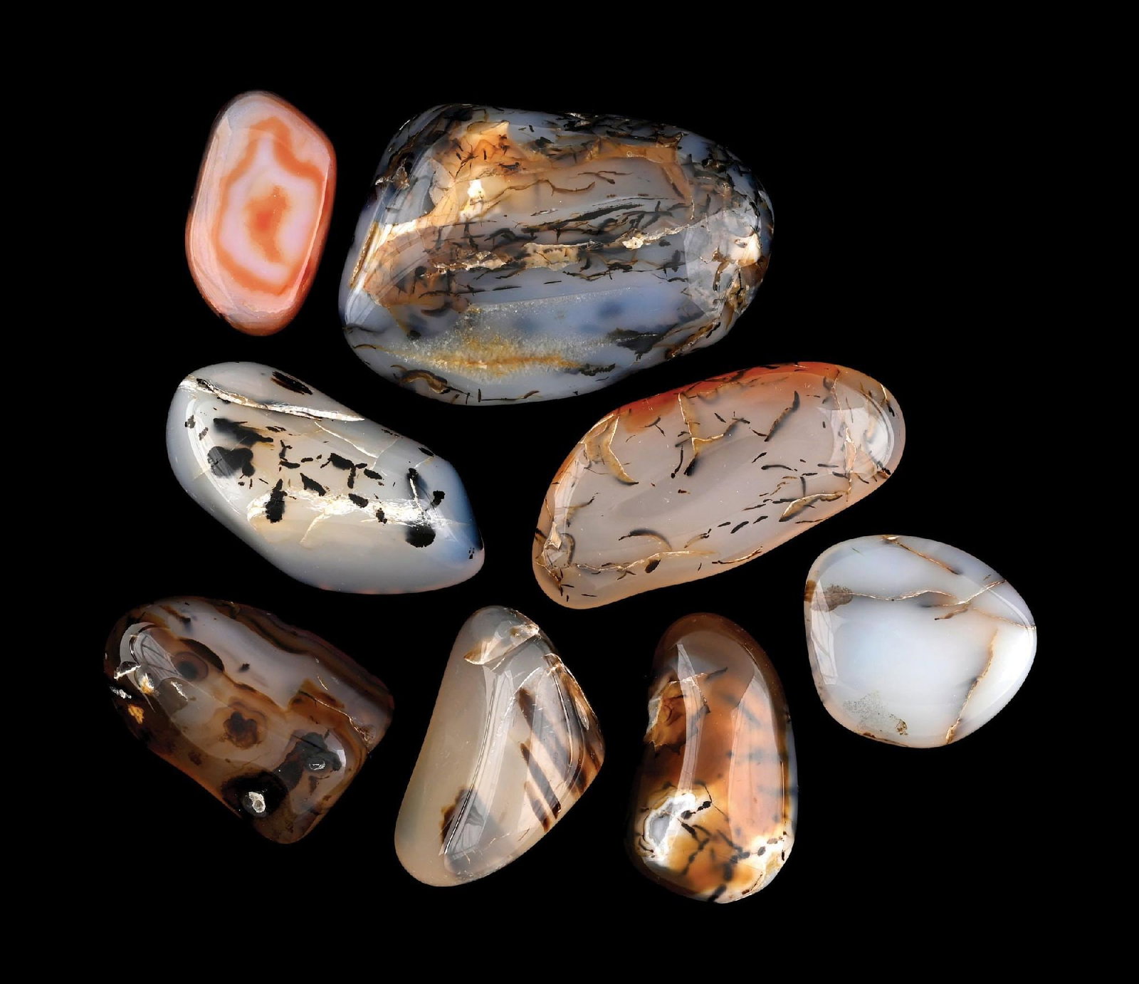 LARGE COLLECTION OF MONTANA MOSS AGATE: A collection of eight fantastic dendritic agates, including one particularly striking large scenic example featuring bold black dendrites and golden tones. The group displays strong contrast, several 