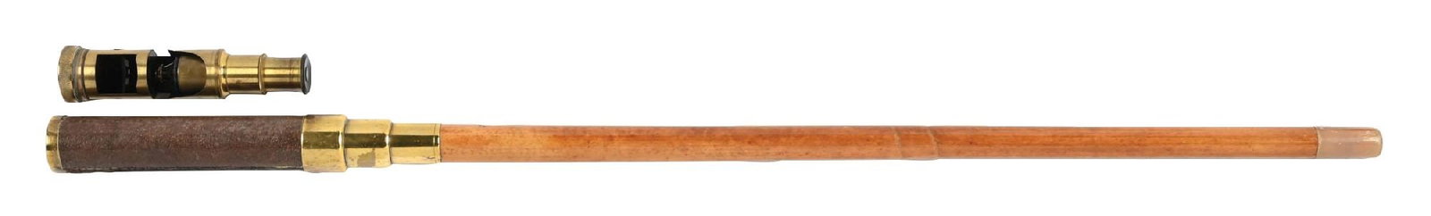 MICROSCOPE WALKING STICK (1 of 9)