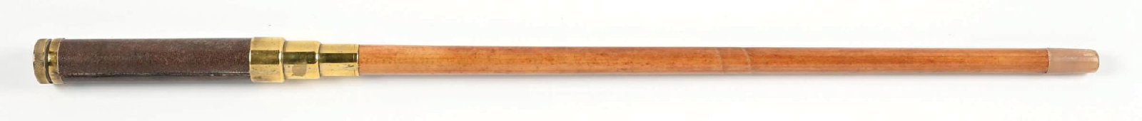 MICROSCOPE WALKING STICK - 2
