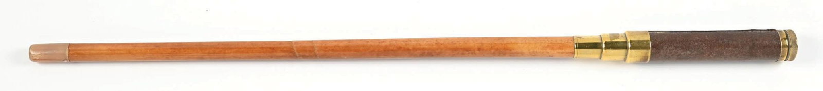 MICROSCOPE WALKING STICK - 3