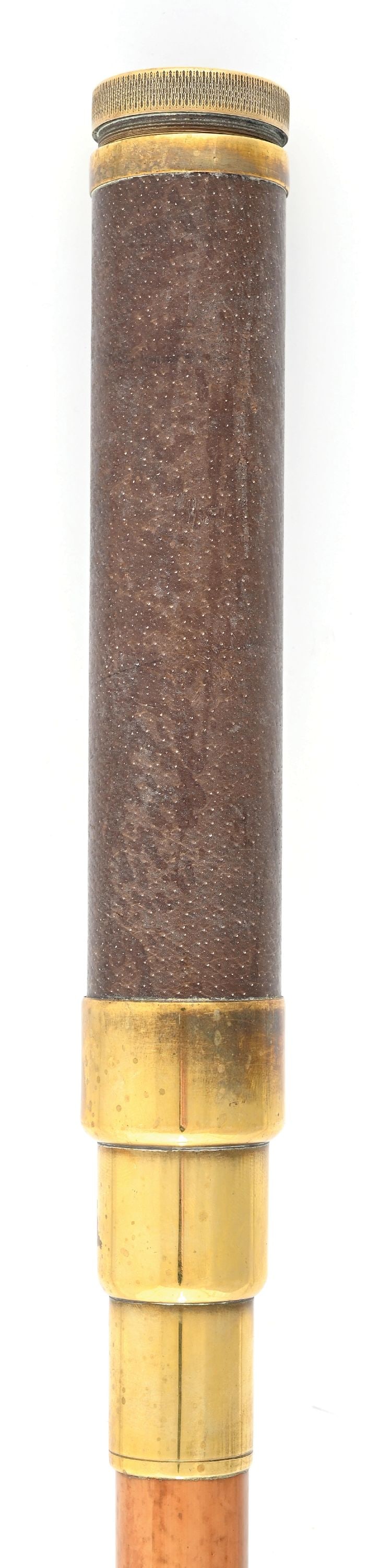 MICROSCOPE WALKING STICK - 4