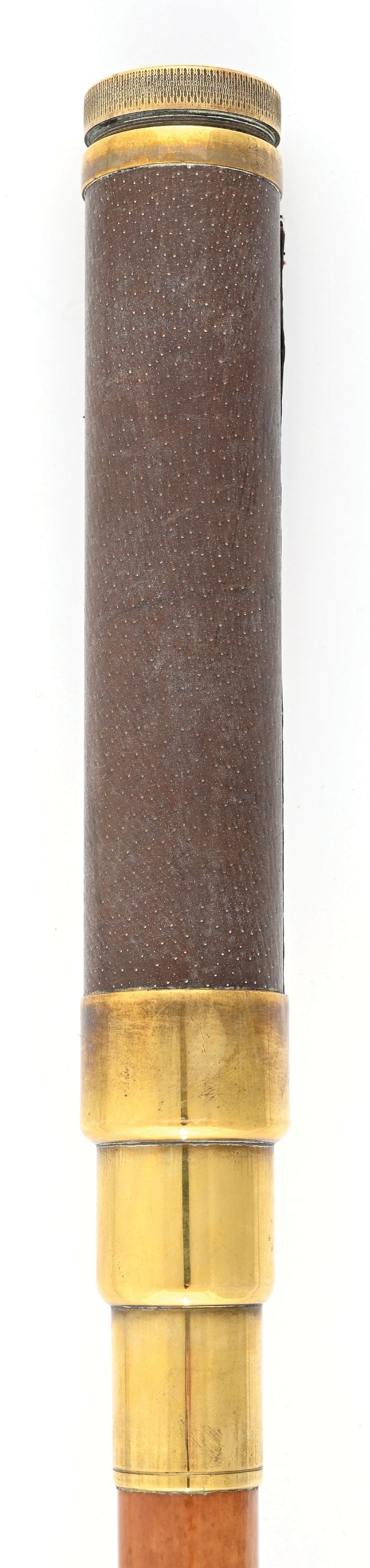 MICROSCOPE WALKING STICK - 5