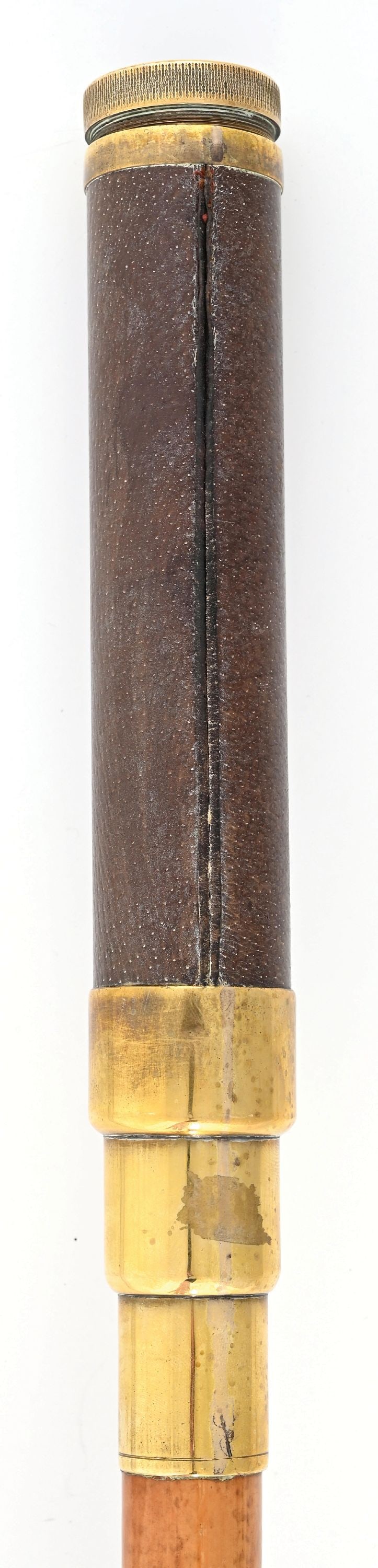 MICROSCOPE WALKING STICK - 6