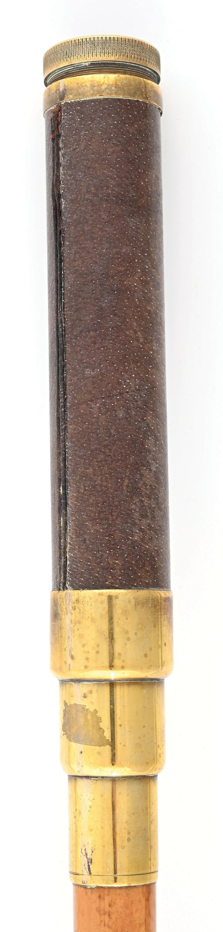 MICROSCOPE WALKING STICK - 7