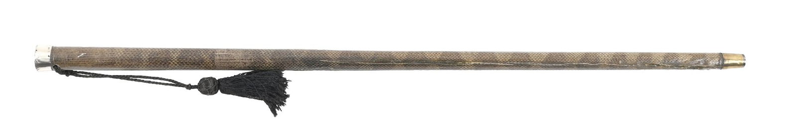 SNAKE SKIN CANE (1 of 5)