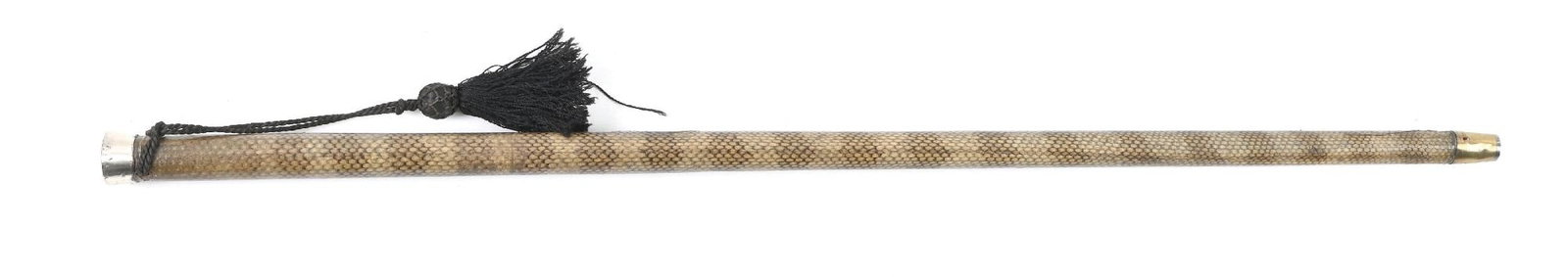 SNAKE SKIN CANE - 2