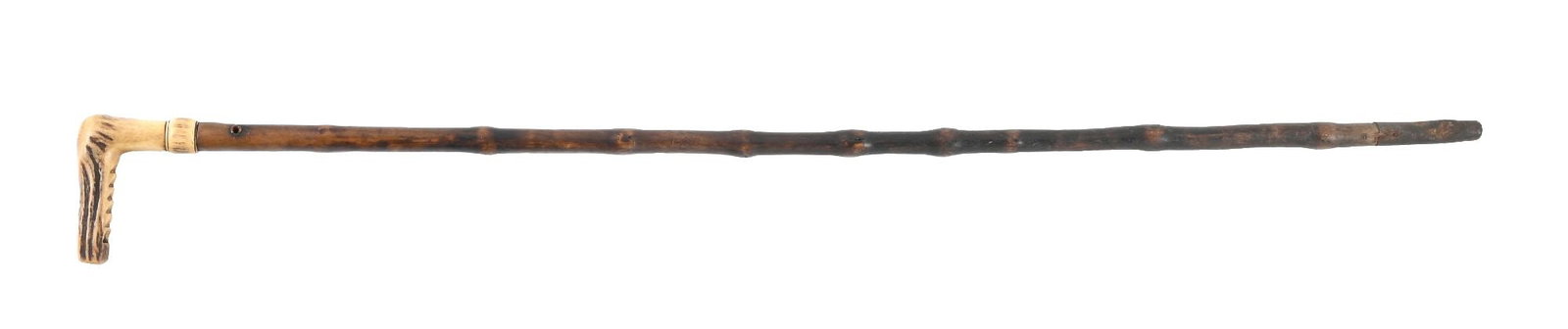 STAG HORN CANE (1 of 6)