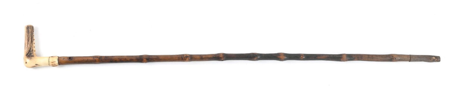 STAG HORN CANE - 2