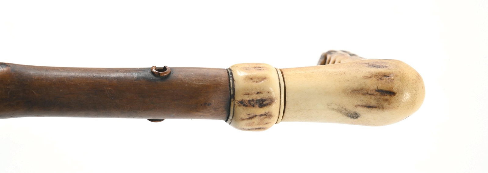STAG HORN CANE - 5