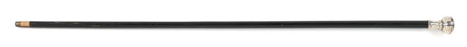 WATCH SYSTEM STICK CANE - 2