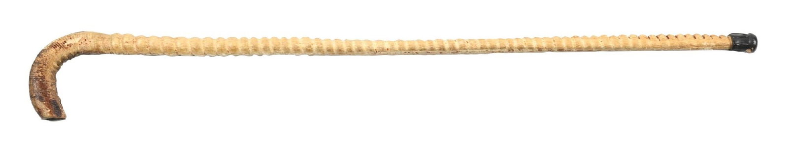WHALE SUBSTANCE WALKING STICK (1 of 7)