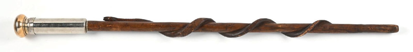 CATTLE ENEMA CANE - 2