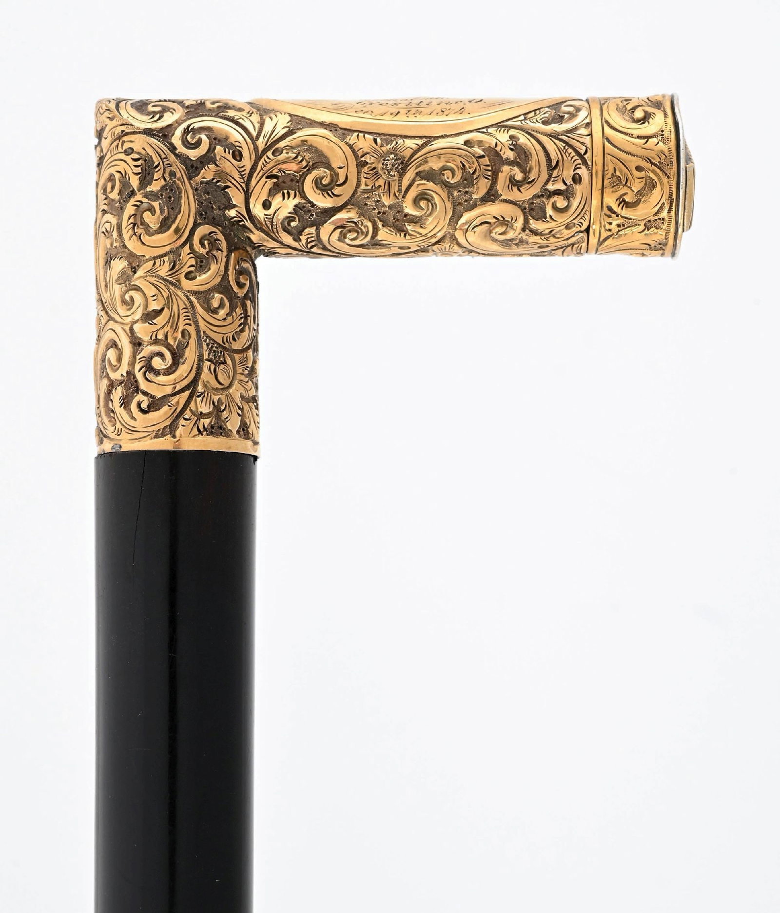 GOLD VESTA CASE CANE - 4