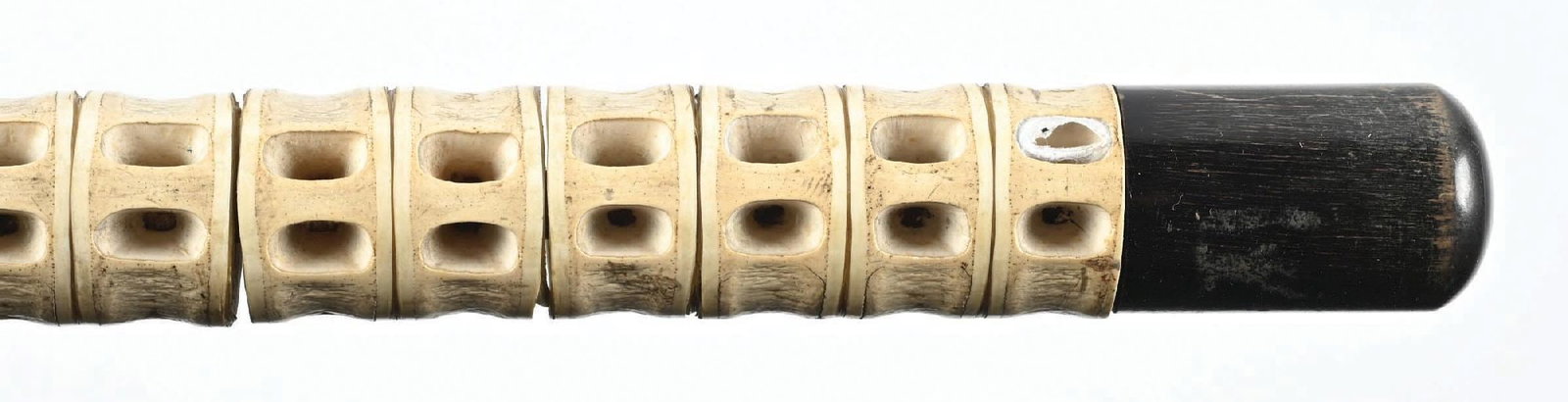 SHARK VERTEBRAE CANE - 3