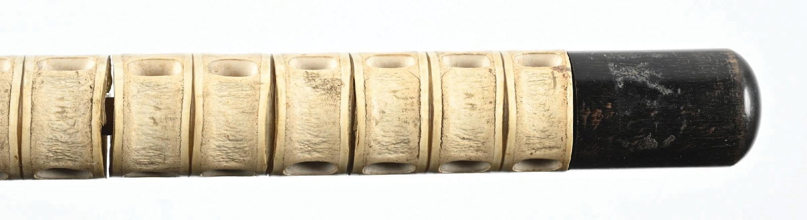 SHARK VERTEBRAE CANE - 4