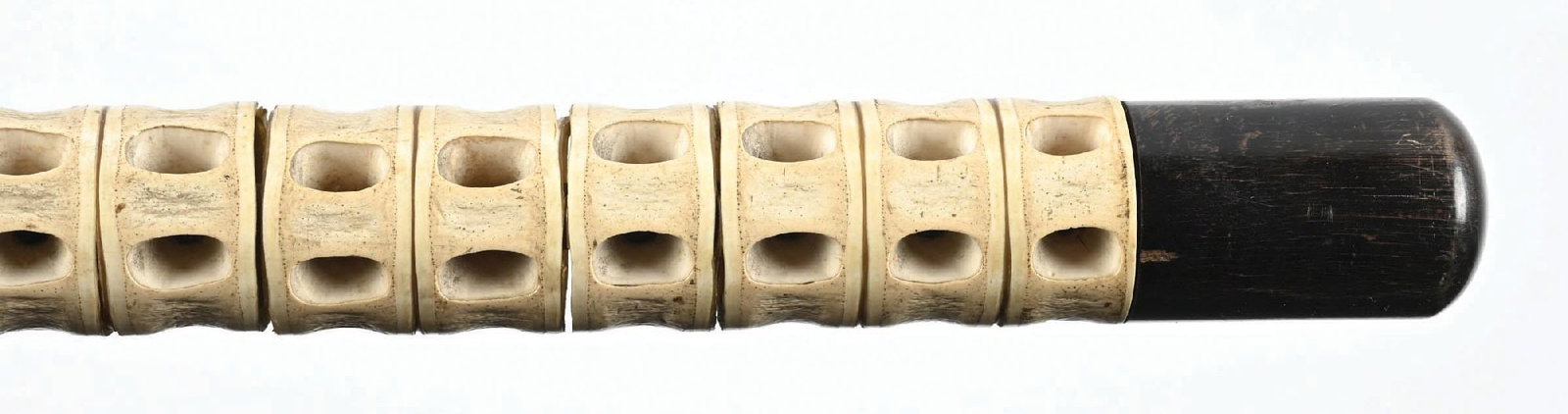 SHARK VERTEBRAE CANE - 5