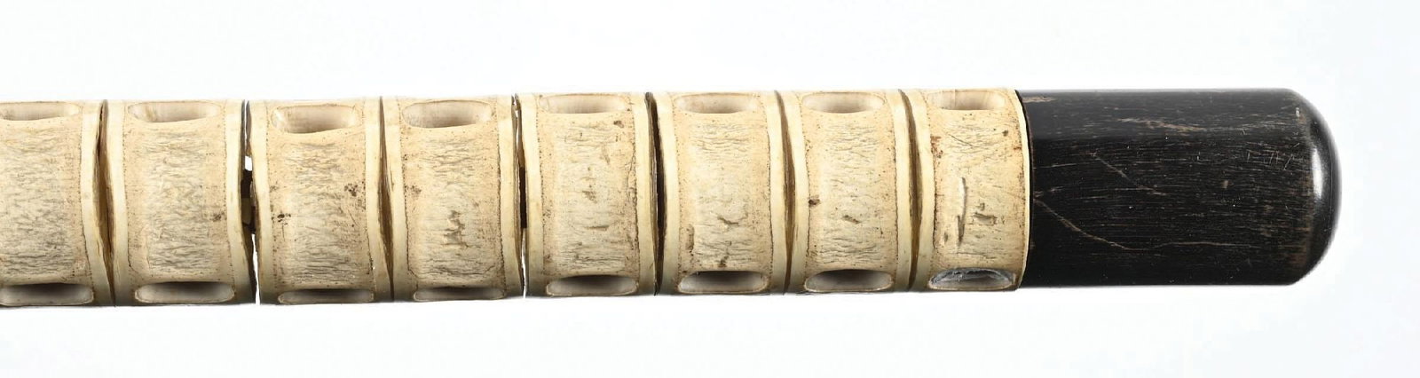 SHARK VERTEBRAE CANE - 6
