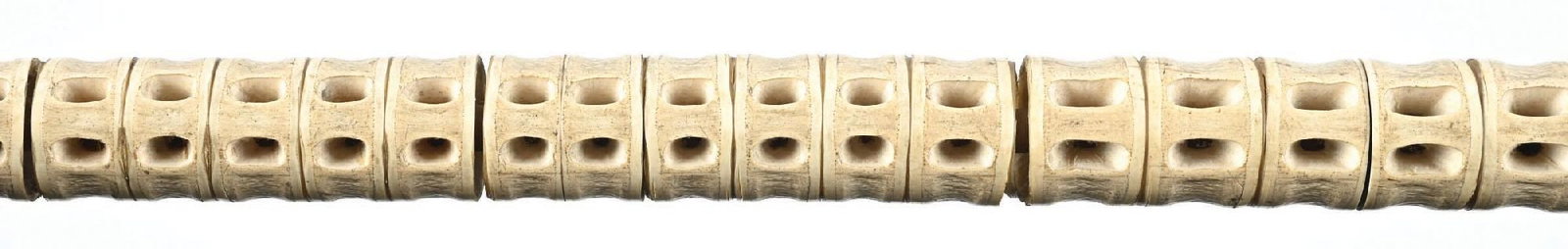 SHARK VERTEBRAE CANE - 7