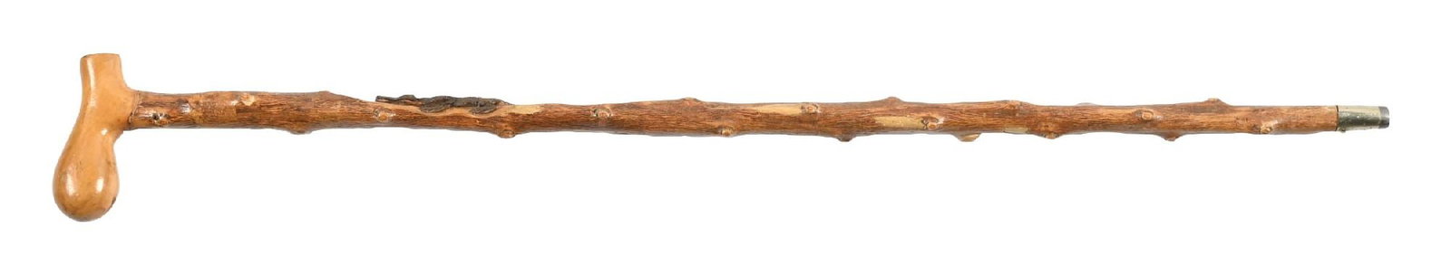 CARVED ALLIGATOR CANE (1 of 6)