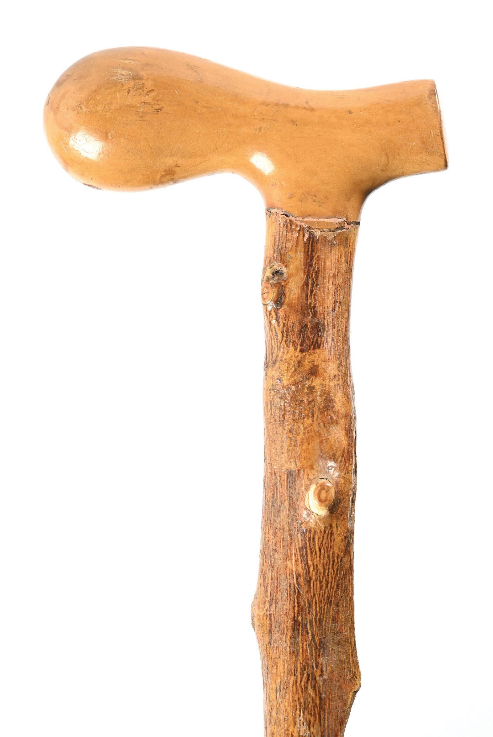 CARVED ALLIGATOR CANE - 4