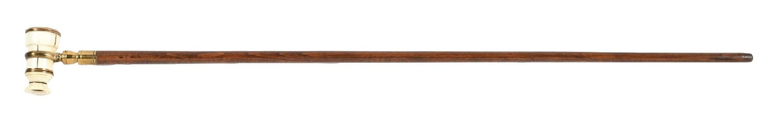 MONOCULAR CANE