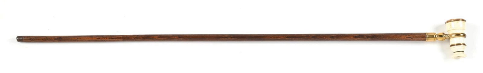 MONOCULAR CANE - 2