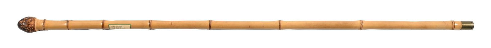 BAMBOO FISHING ROD CANE (1 of 6)