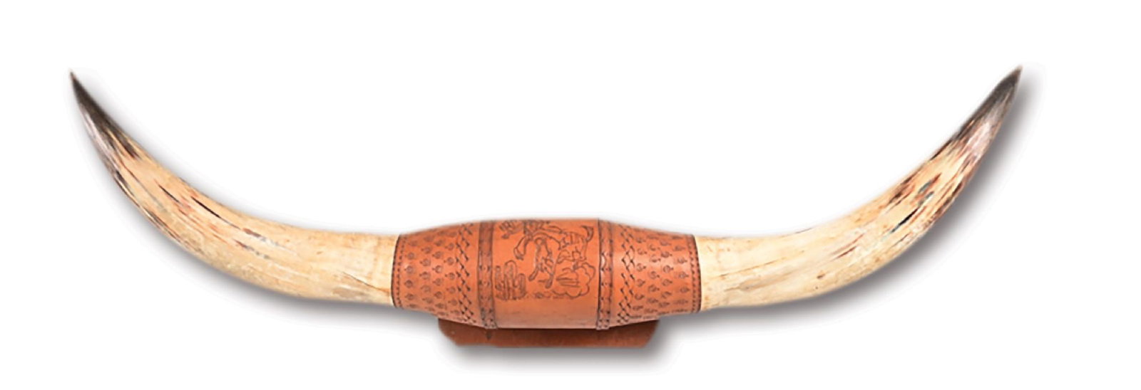A LARGE PAIR OF STEER HORNS (1 of 7)
