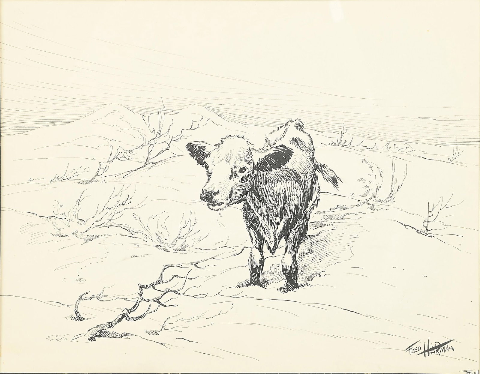 FRED HARMAN (1902-1982): The Leppy pen and ink sight: 10 x 13 in. framed: 19 x 21-3/4 in. Signed lower right "Fred Harman" Showing Leppy walking through the snow. This lot is accompanied by 25 prints of this pen and ink. Prov