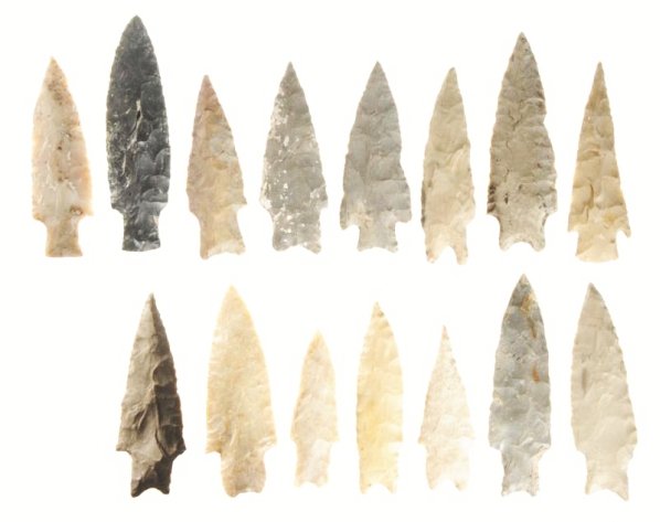 Lot of 15: Texas Projectile Points.: Various Texas point styles and cherts. Chips and dings on several points. Size Largest: 4" L.