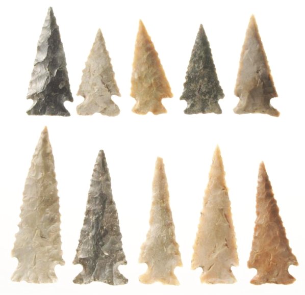 Lot of 10: Ensor Points.: Various Texas cherts. Complete examples with keen tips and very minor chip loss. Size Largest: 3" L.