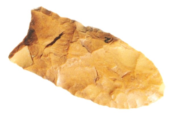 Clovis Point.: Southern Georgia origin. Made of unusual Georgia chert. Size 2" L.