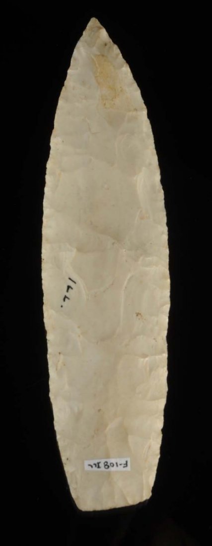 Sedalia Point.: Mid-late archaic. 5,000-3,000 B.P. Hancock County, Illinois. Burlington chert. Nicely made example of this classic spear point. Size L. 5 - 5/8" x W. 1 - 1/2" x H. 5/16".