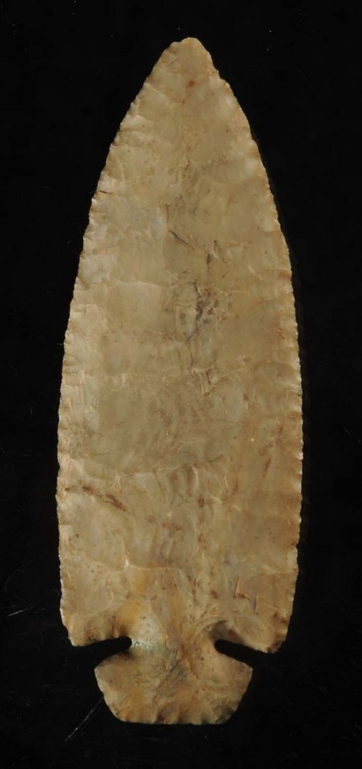 Dovetail Spear.: Early Archaic 9000 - 6000 B.P. From a Pennsylvania collection. Refined basal work that almost meets the "button base" category. Perfect matching notches. A large and well balanced spear, with a chippe