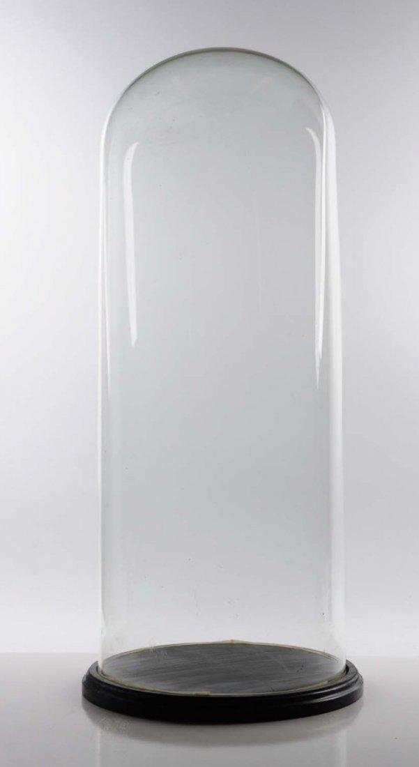 Large Glass Dome Display Case.
