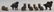 Lot of 7: Cast Iron Still Banks.
