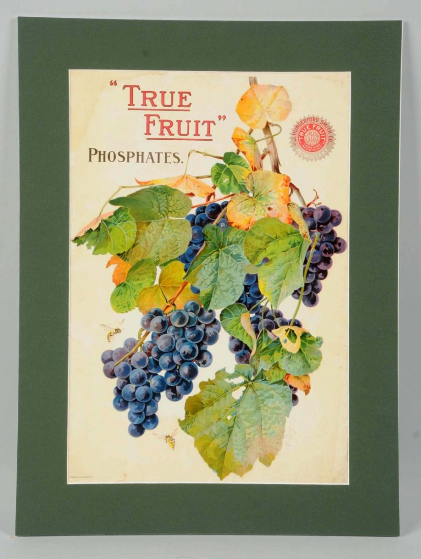 1900-1905 True Fruit Phosphates Paper Sign.: Bold, vivid colors and graphics with only some light stains and very minor wear. Condition (Very Good Plus). Size 21 - 1/2" x 16" L.