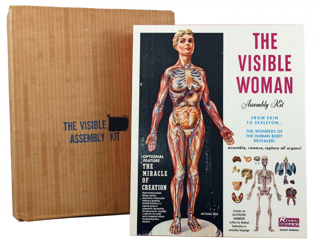 The Visible Woman Assembly Kit.: Circa 1950s. Renewal. The first issue of this kit, and features the optional reproductive organs in a plain box. Complete as issued with contents factory sealed. Mint in box with all inserts. Includes