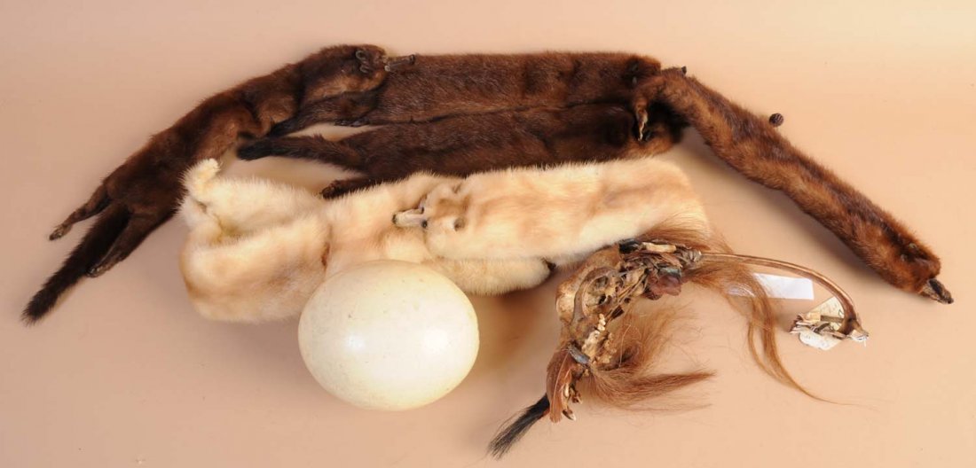 Lot of Animal Fur.: Includes two mink furs, ostrich egg and plains Indian stick rattle. Condition (Excellent). Size Largest: 42" L.