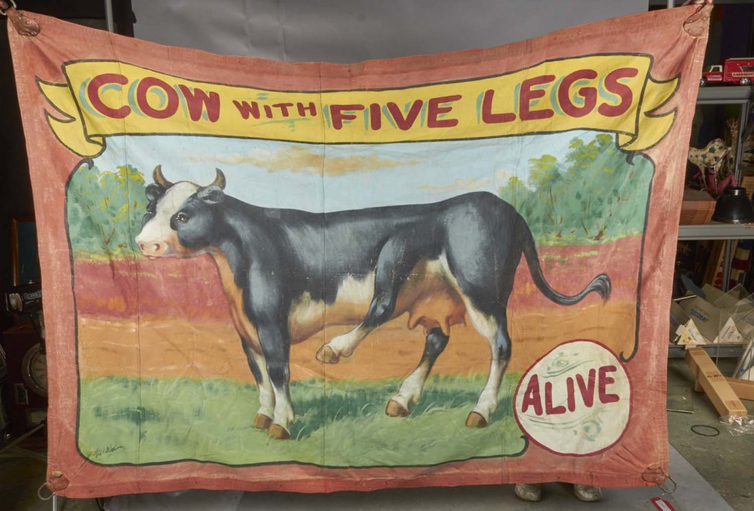 Sideshow Banner Painted by Fred G. Johnson: Painted sideshow banner for the cow with five legs. "Alive." Banner has brackets for easy hanging. Condition (Excellent). Size 96" x 68"