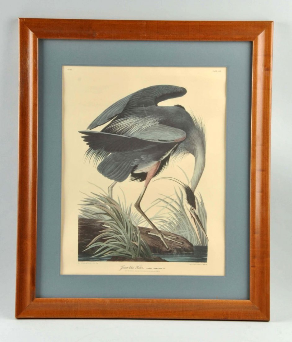 Lot Of 2: Framed Bird Prints. (1 of 2)