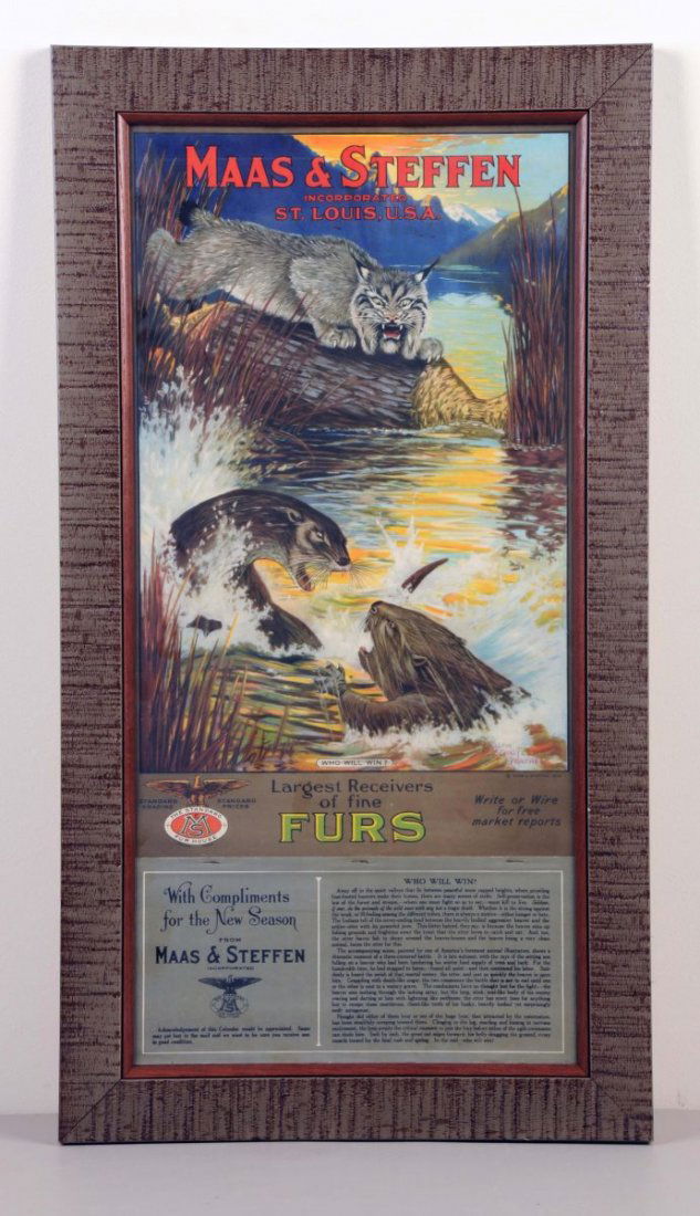 Maas & Steffen Co. Furs Advertising Calendar.: "Who Will Win?". This is a new old stock calendar featuring an illustration by Ralph Carlyle Prather showing an otter fighting a beaver while a bobcat looks on. It is dated 1924 and still has its orig