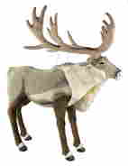 A LARGE LIFE SIZE STEIFF STUDIO BEAR - Apr 06, 2013 | Jackson’s