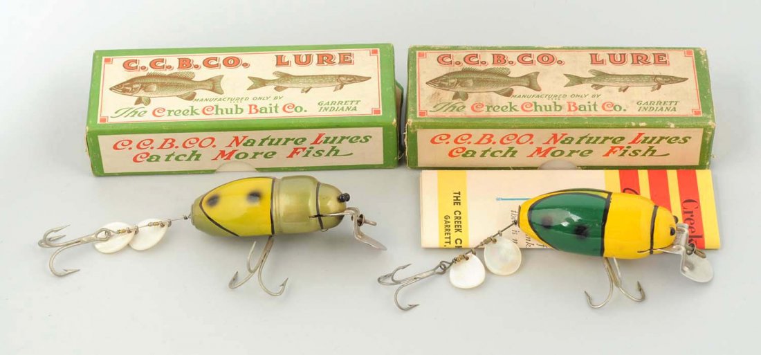 Lot Of 2: Creek Chub Beetle Pair, End Label Boxes. (1 of 5)