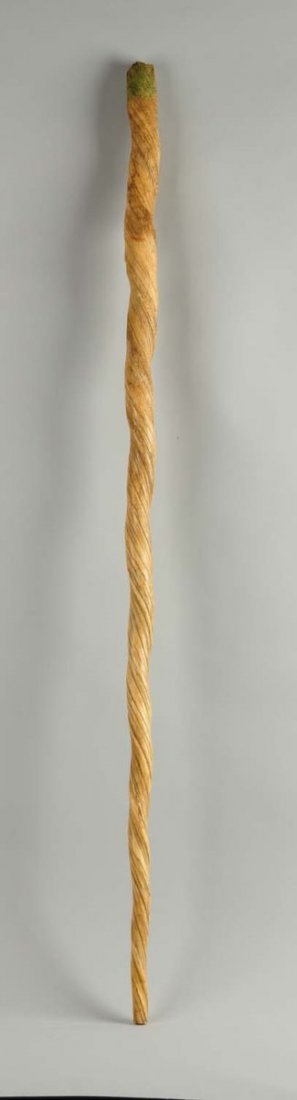 The Lore Of The Unicorn (Narwhal): 5’ foot long Narwhal horn in excellent condition. Condition (Excellent). Size 60" L.
