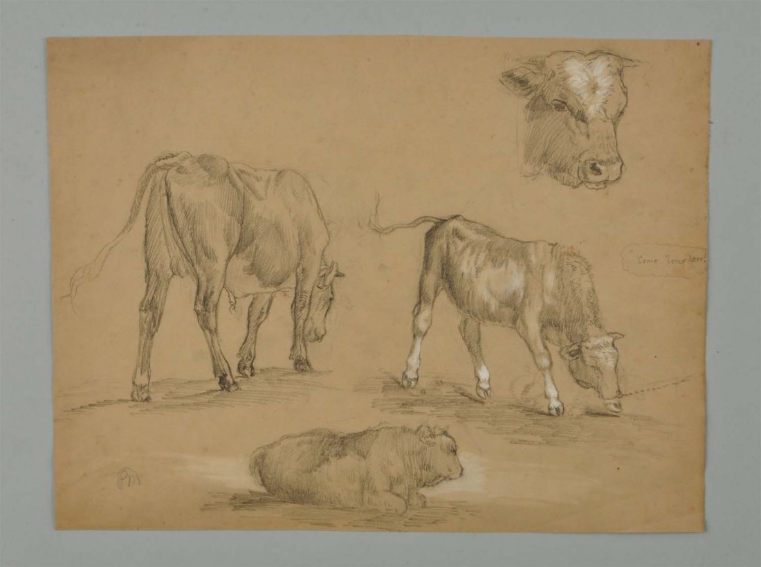 Graphite "Animal Study" By Peter Moran.: Peter Moran (1831-1914) "Animal Study" graphite on paper, initialed at lower left. Size 12'' x 9-1/2''.