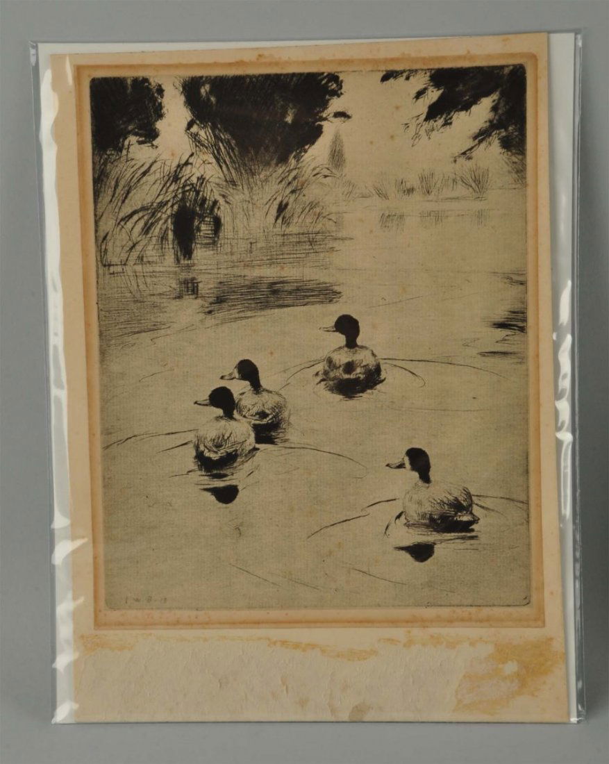 Dry Point "Broadbills" by Frank Benson.: Frank W. Benson (1862-1951) "Broadbills" dry point 1913. signed and dated in plate on lower left. Size 11" x 8".